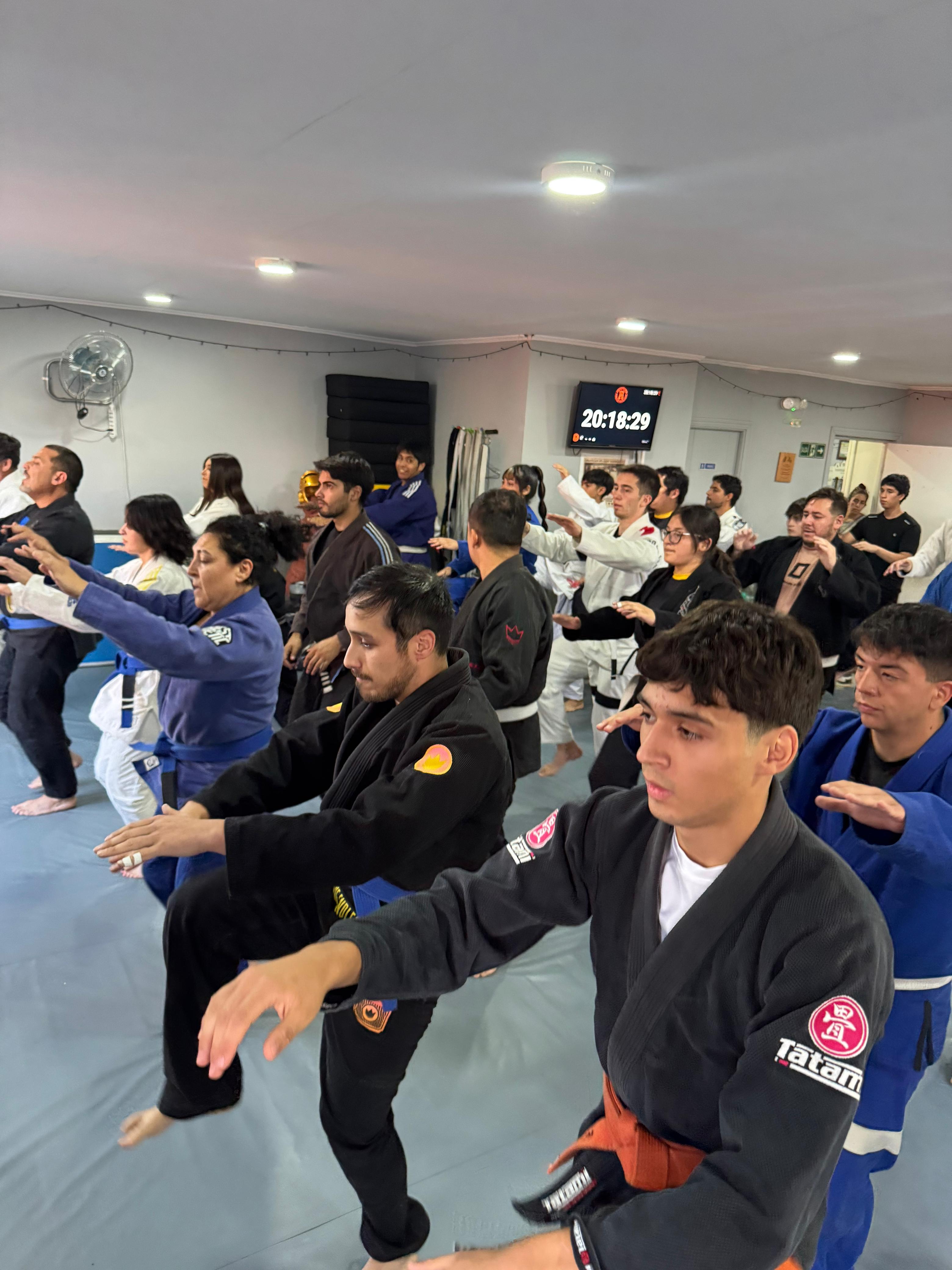 Entrenamiento